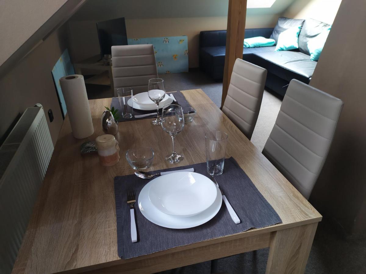 Cerna u BohdancePodkrovni Apartman V Prirode, Vhodny K Relaxaci I Na Sluzebni Cesty公寓 外观 照片