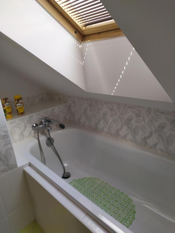 Cerna u BohdancePodkrovni Apartman V Prirode, Vhodny K Relaxaci I Na Sluzebni Cesty公寓 外观 照片