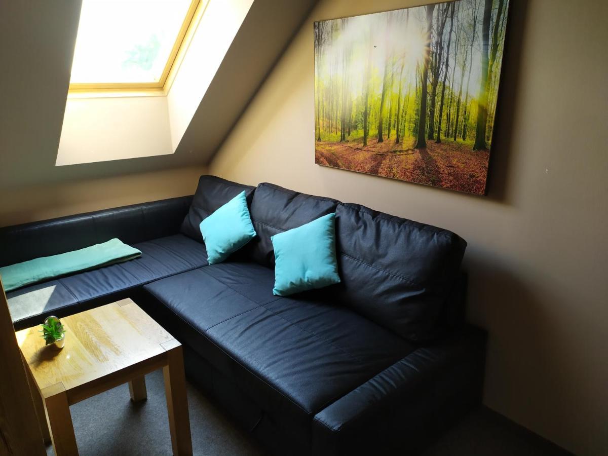 Cerna u BohdancePodkrovni Apartman V Prirode, Vhodny K Relaxaci I Na Sluzebni Cesty公寓 外观 照片