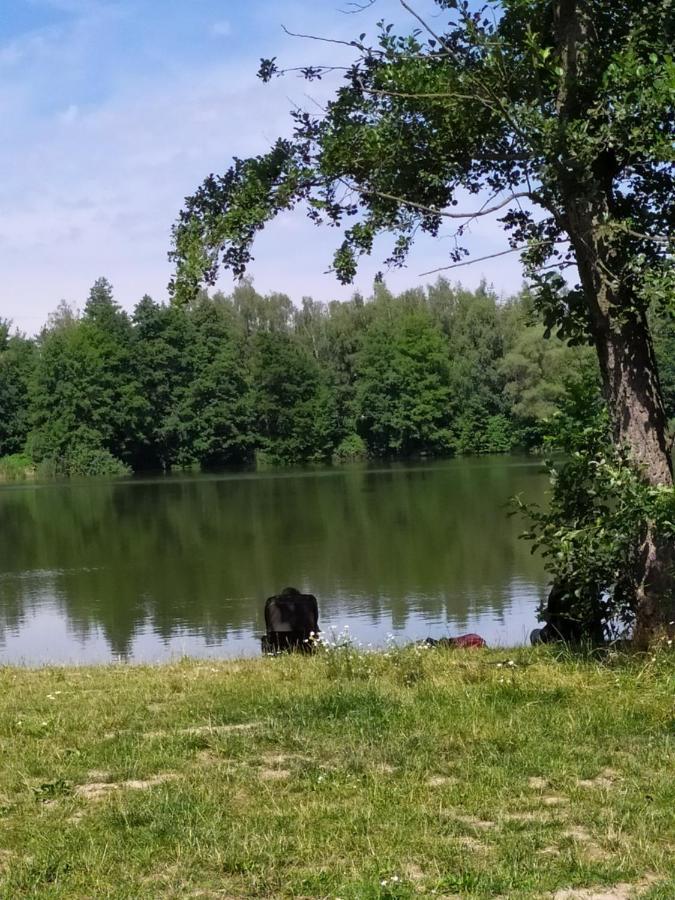 Cerna u BohdancePodkrovni Apartman V Prirode, Vhodny K Relaxaci I Na Sluzebni Cesty公寓 外观 照片