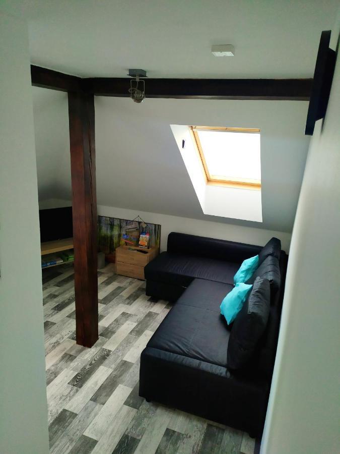Cerna u BohdancePodkrovni Apartman V Prirode, Vhodny K Relaxaci I Na Sluzebni Cesty公寓 外观 照片