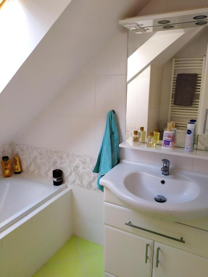 Cerna u BohdancePodkrovni Apartman V Prirode, Vhodny K Relaxaci I Na Sluzebni Cesty公寓 外观 照片